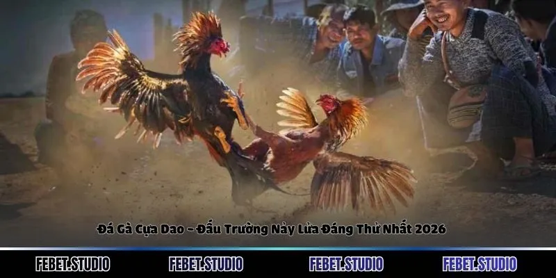 Đá Gà Cựa Dao - Đấu Trường Nảy Lửa Đáng Thử Nhất 2026
