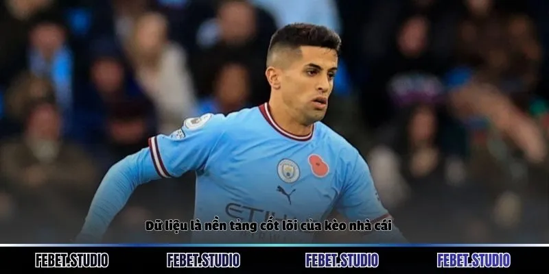 Dữ liệu là nền tảng cốt lõi của kèo nhà cái