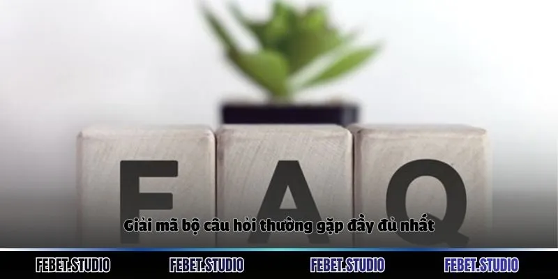 Giải mã bộ câu hỏi thường gặp đầy đủ nhất