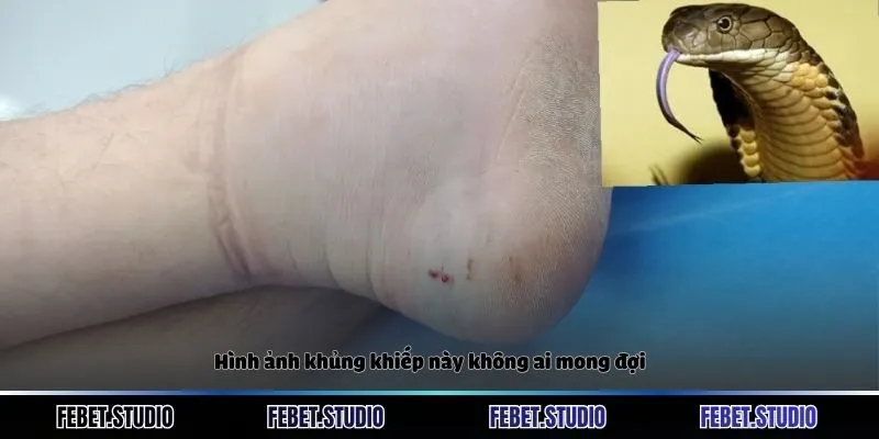 Hình ảnh khủng khiếp này không ai mong đợi