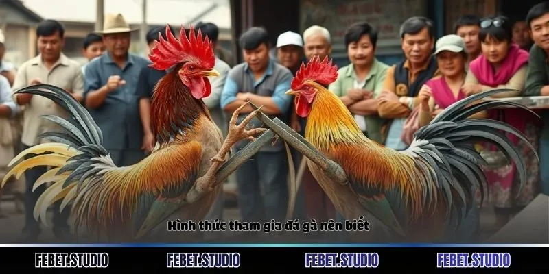 Hình thức tham gia đá gà nên biết
