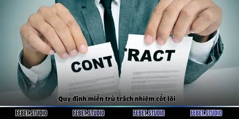 Quy định miễn trừ trách nhiệm cốt lõi